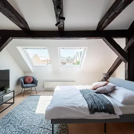 Apartment Zen & Stylish Attic